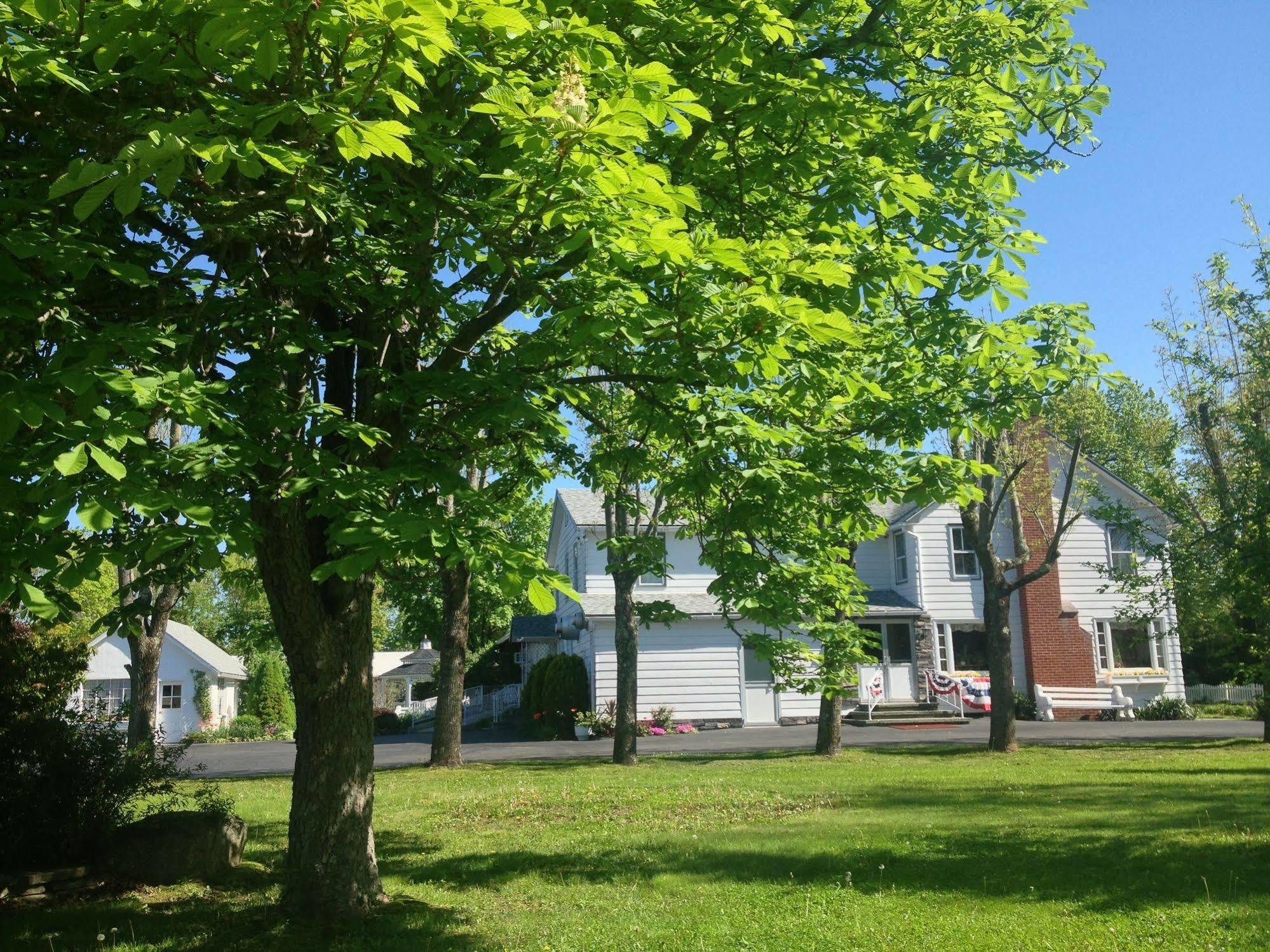 Lukans Farm Resort Hawley エクステリア 写真