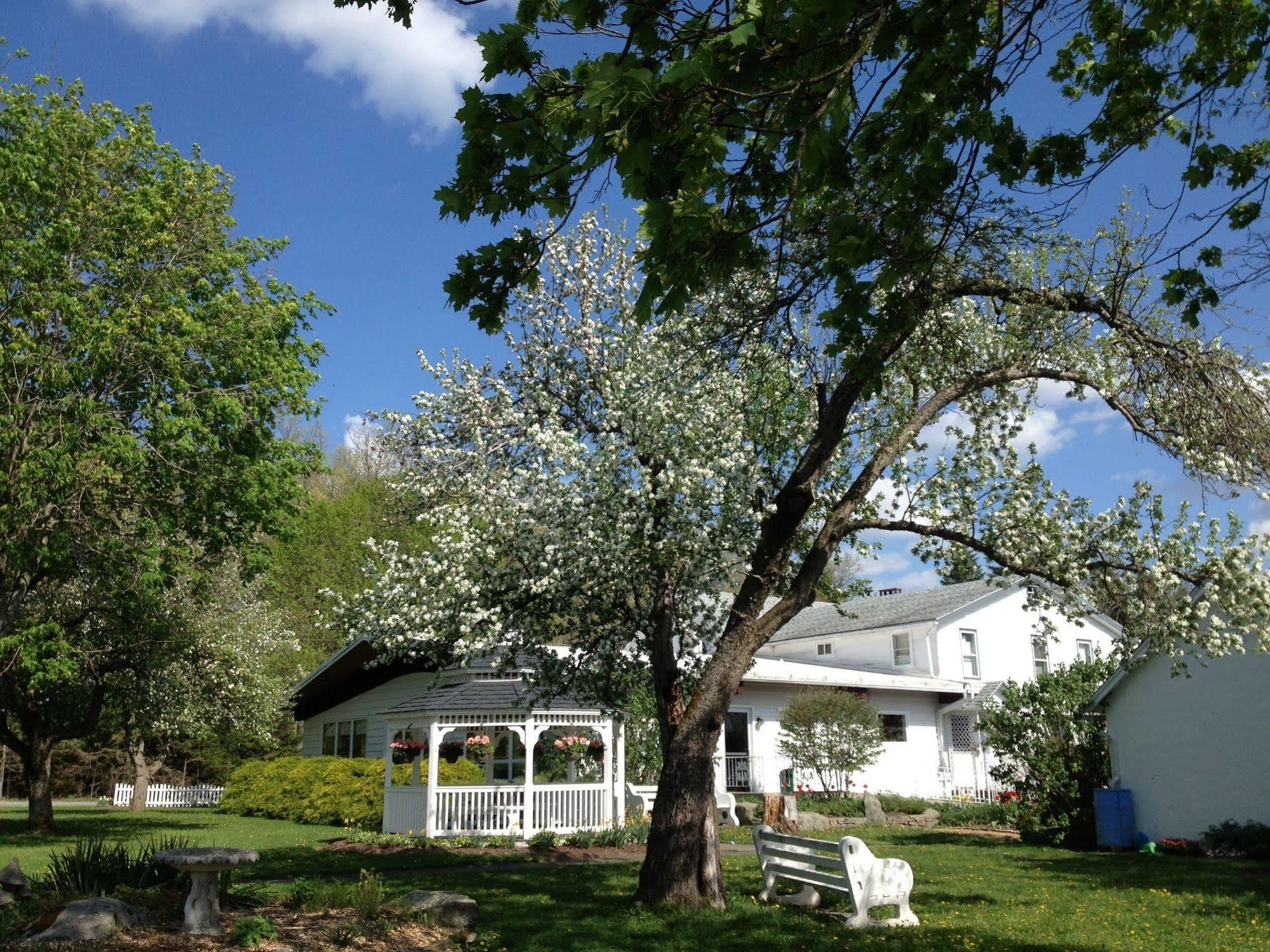 Lukans Farm Resort Hawley エクステリア 写真
